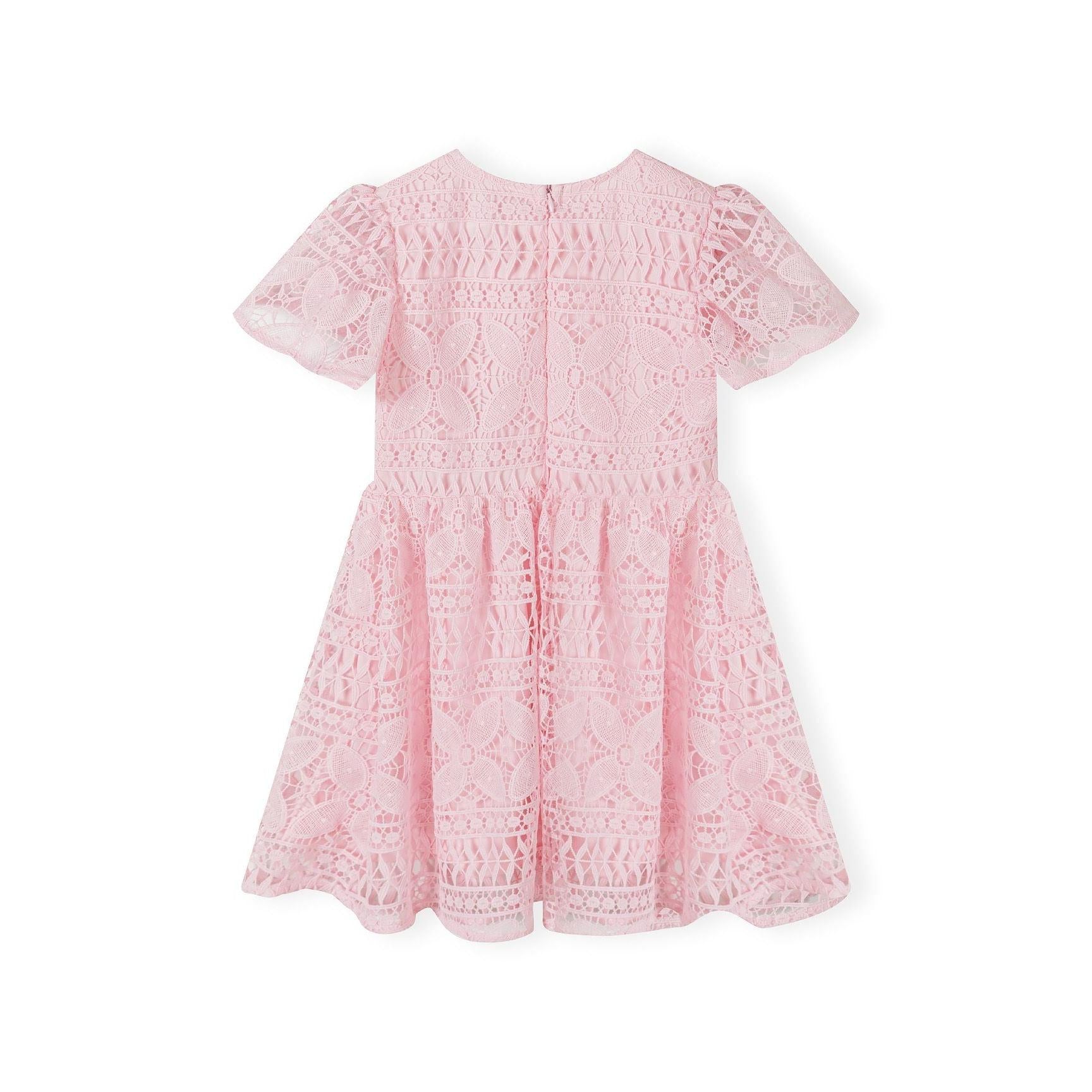 Back view of pink lace dress showing button fastening and intricate lace pattern detail on white background