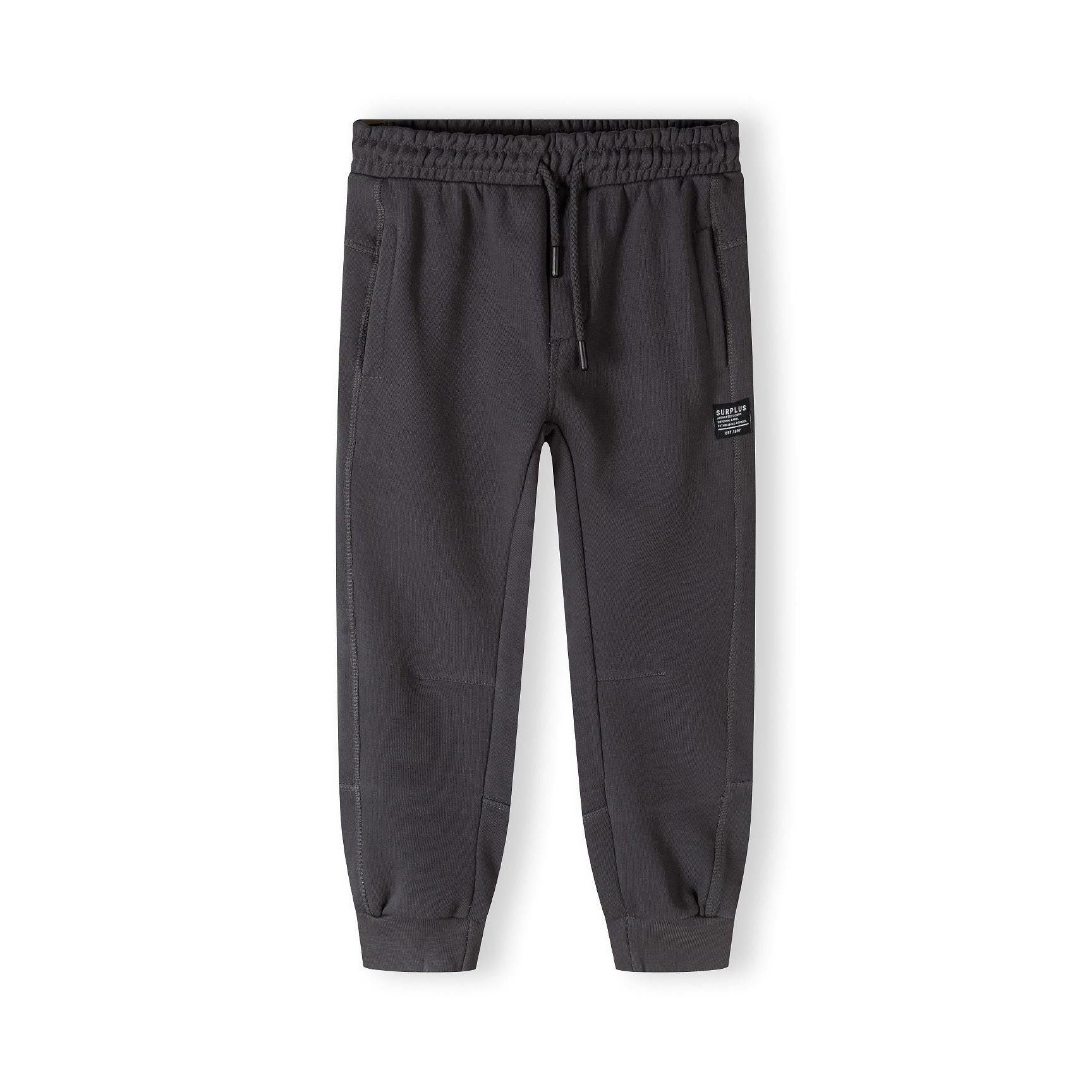 Grey panelled joggers laid flat showing back view with elastic waistband and structured panelled design