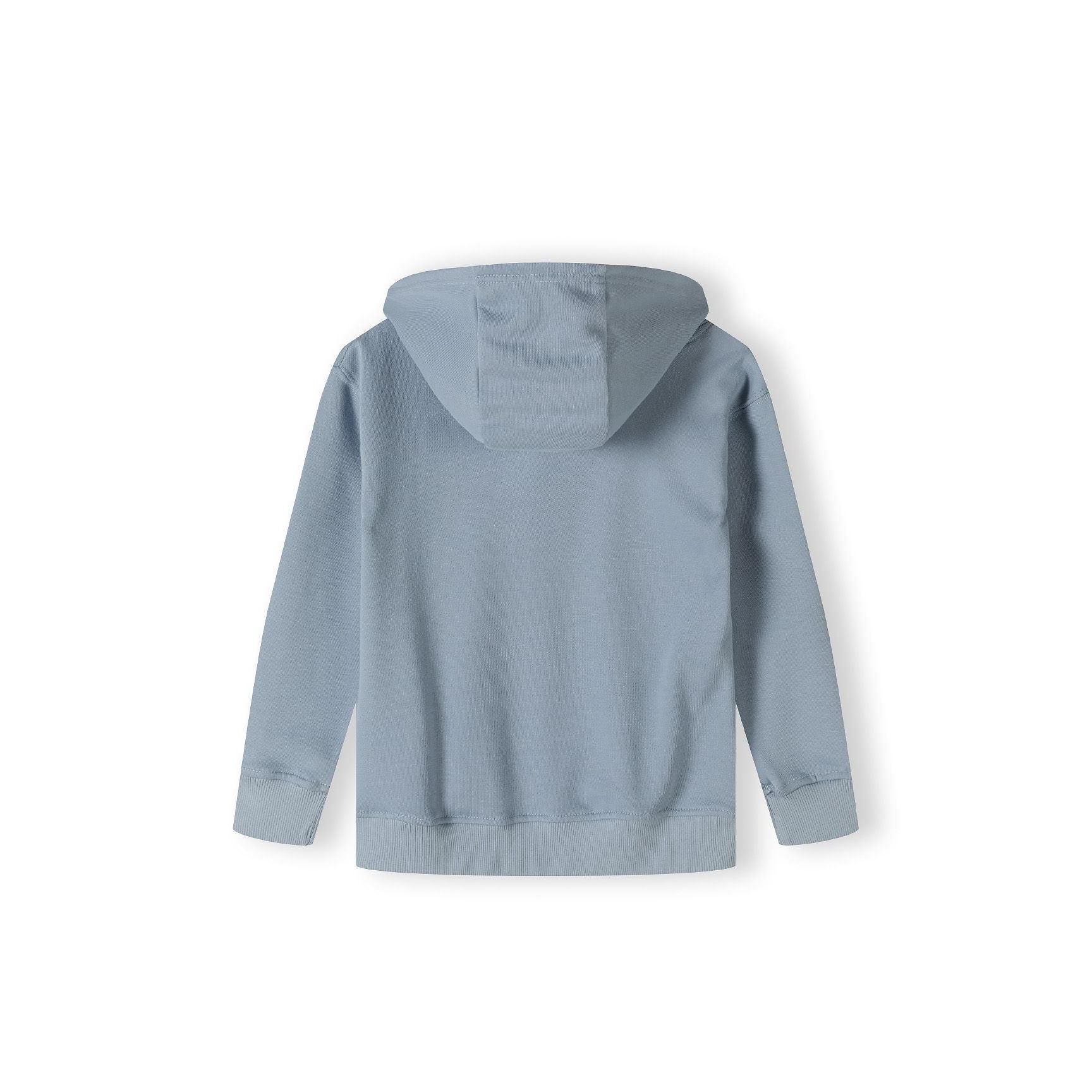 Back view of light blue oversized hoodie showing plain design with hood up, long sleeves and ribbed hem on white background