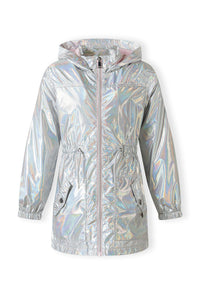 silver-coloured