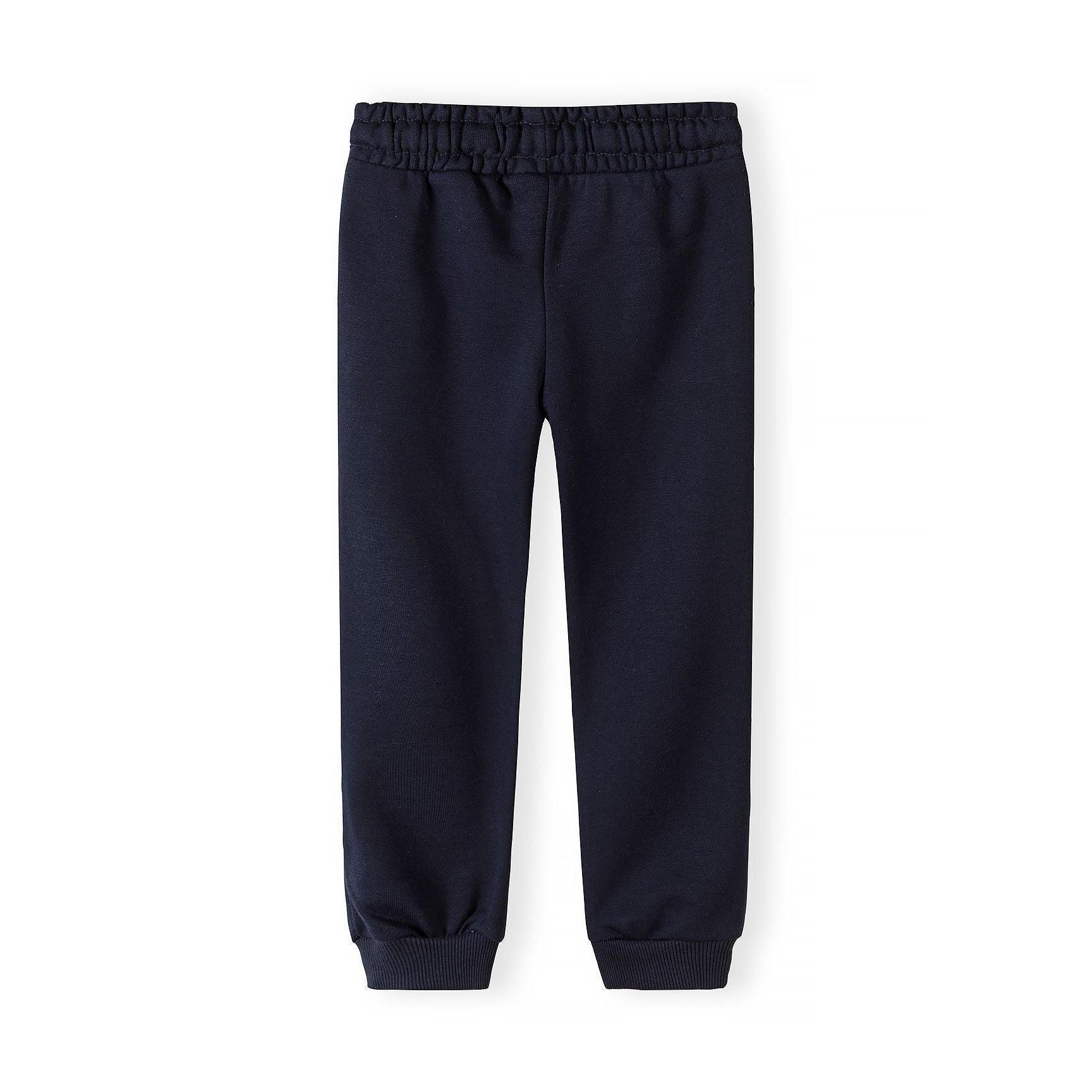 Single navy joggers laid flat showing full silhouette with elastic waist, side pockets and ribbed ankle cuffs against white background