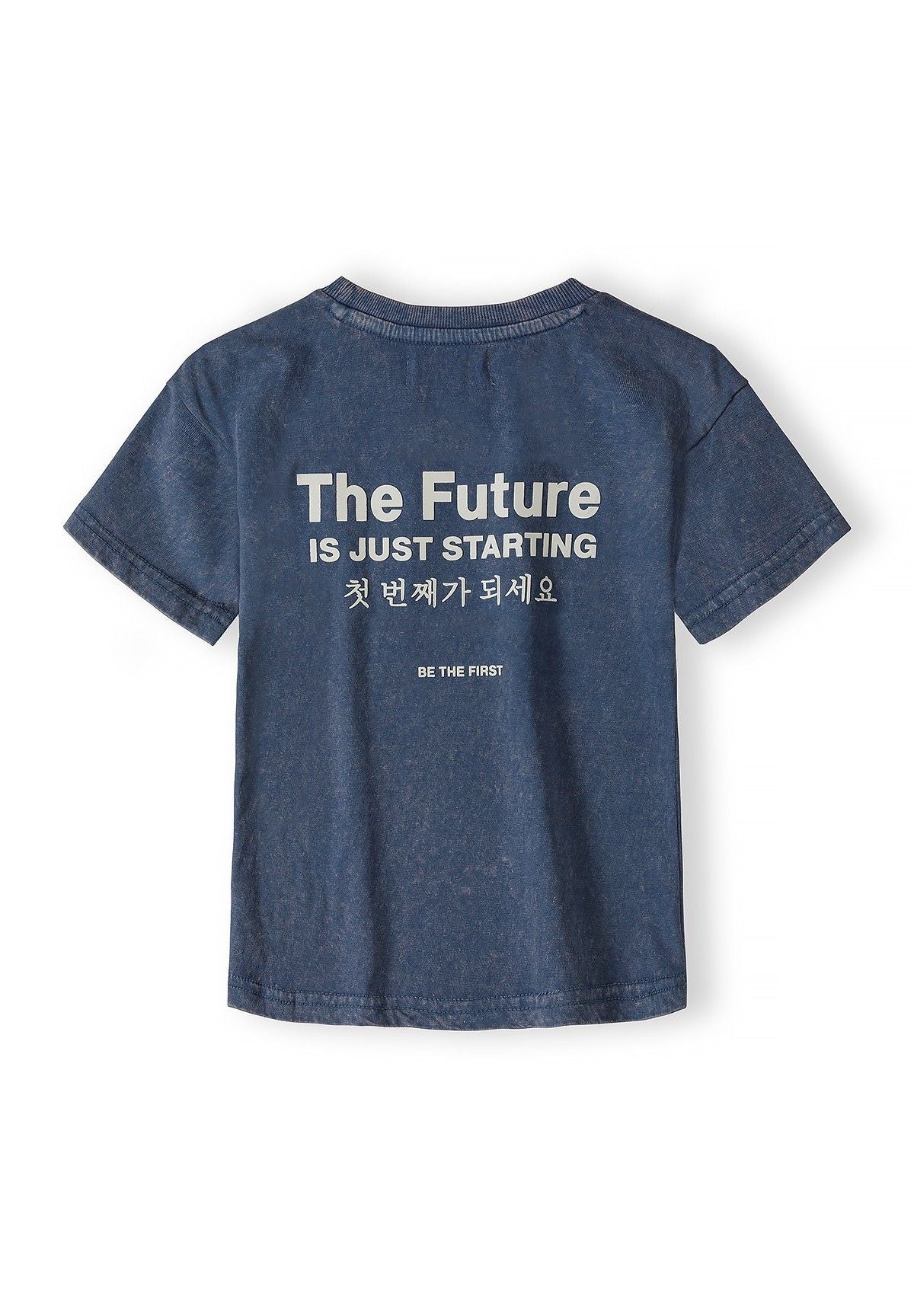 Boys blue acid wash t-shirt, back view, features text print.