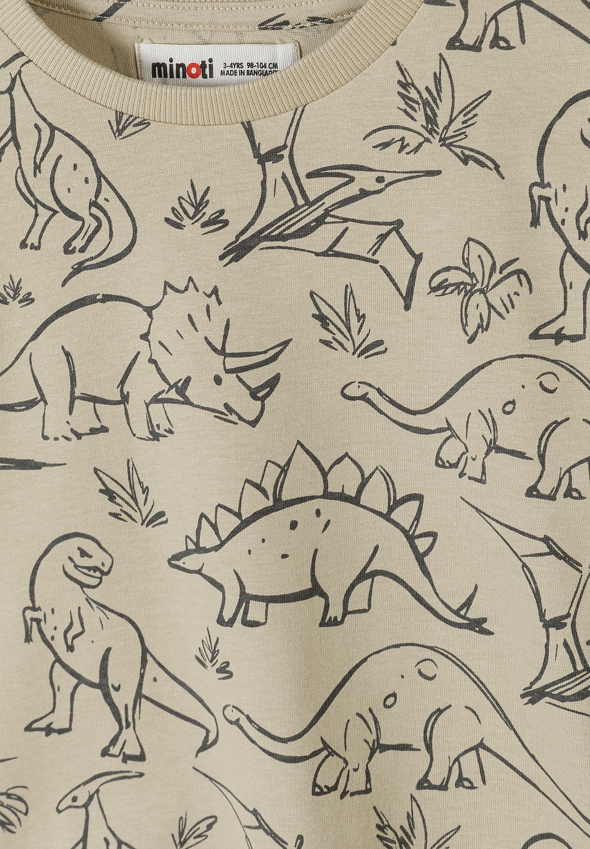 T-Shirts 5-Pack, Dinosaur Print, Mixed Colours - 8