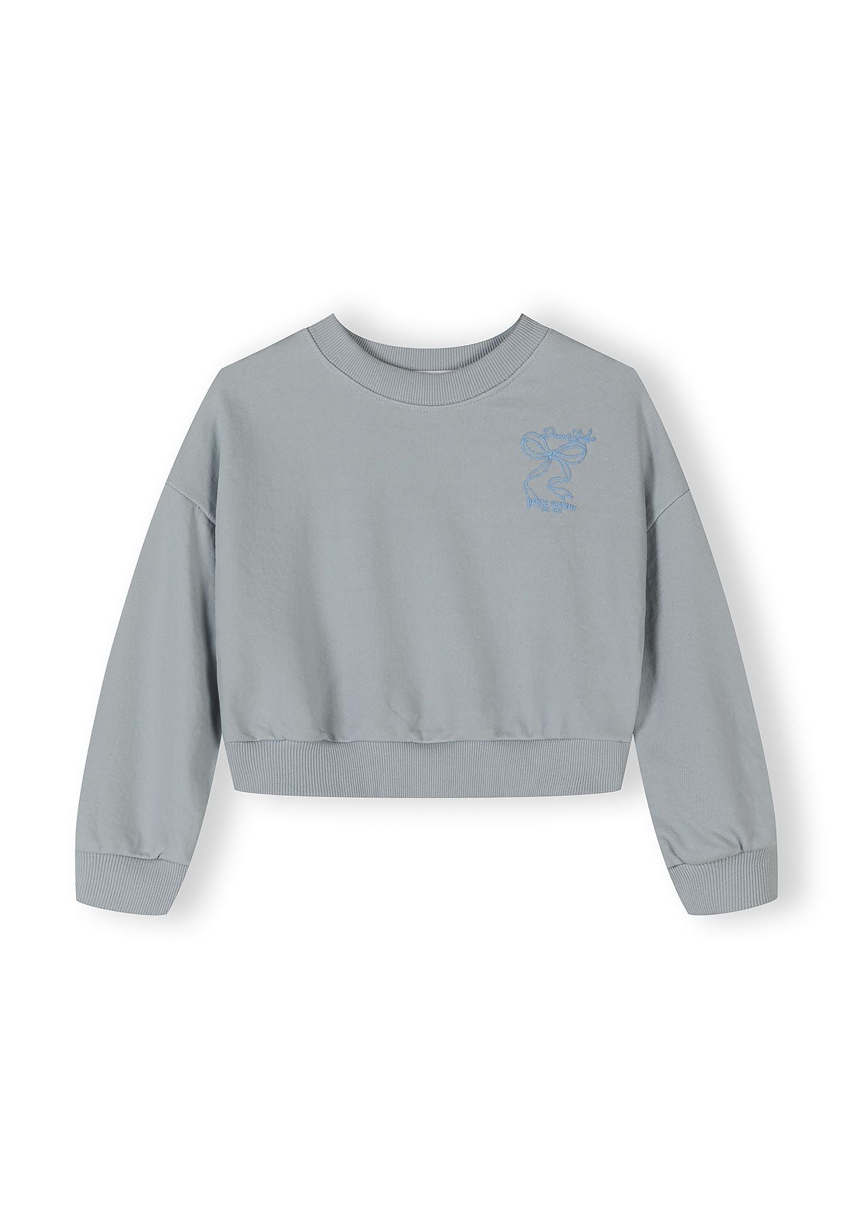 Light blue cropped sweatshirt with ribbed cuffs and embroidered design.
