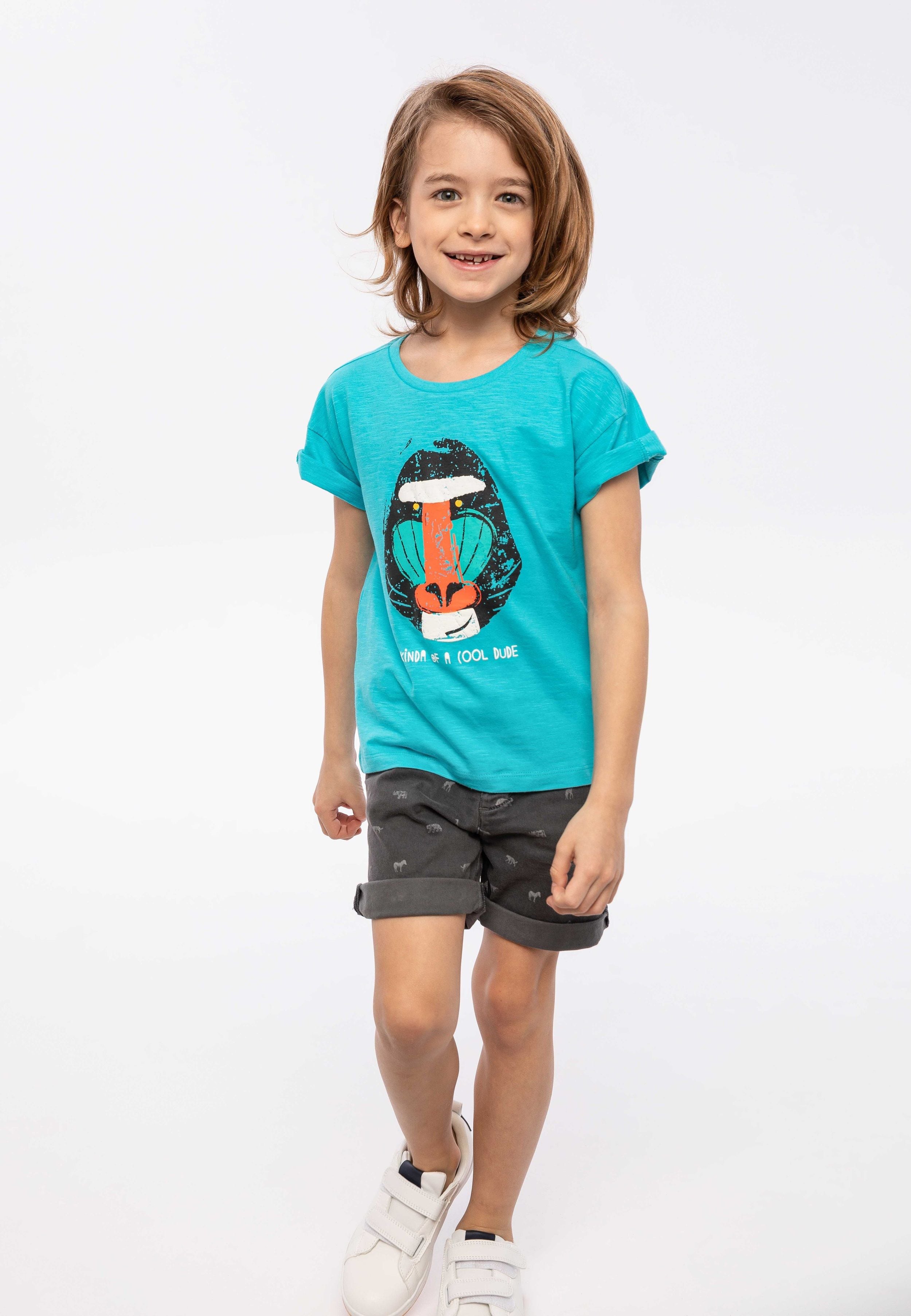 Oversized Slub T-Shirt, Baboon Print, Turquoise - 1