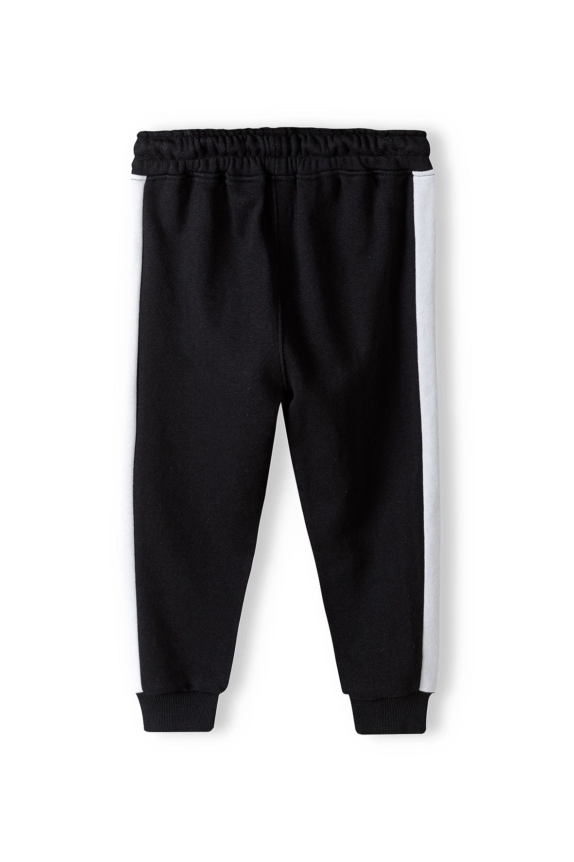 Fleece Joggers, Black, Contrast Stripe - 2