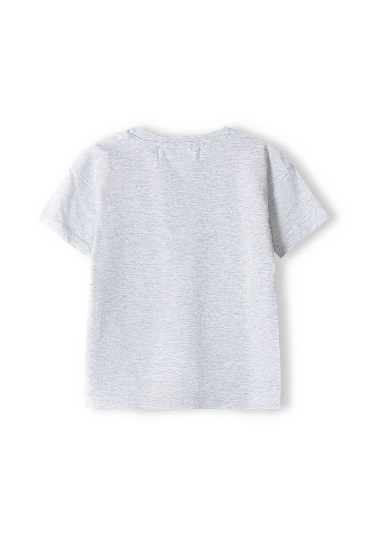 Short Sleeve T-Shirt, Grey Dino Vibes - 2