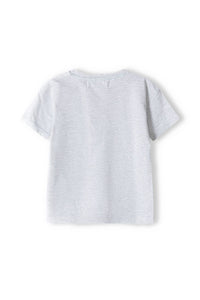 Colour: mottled grey