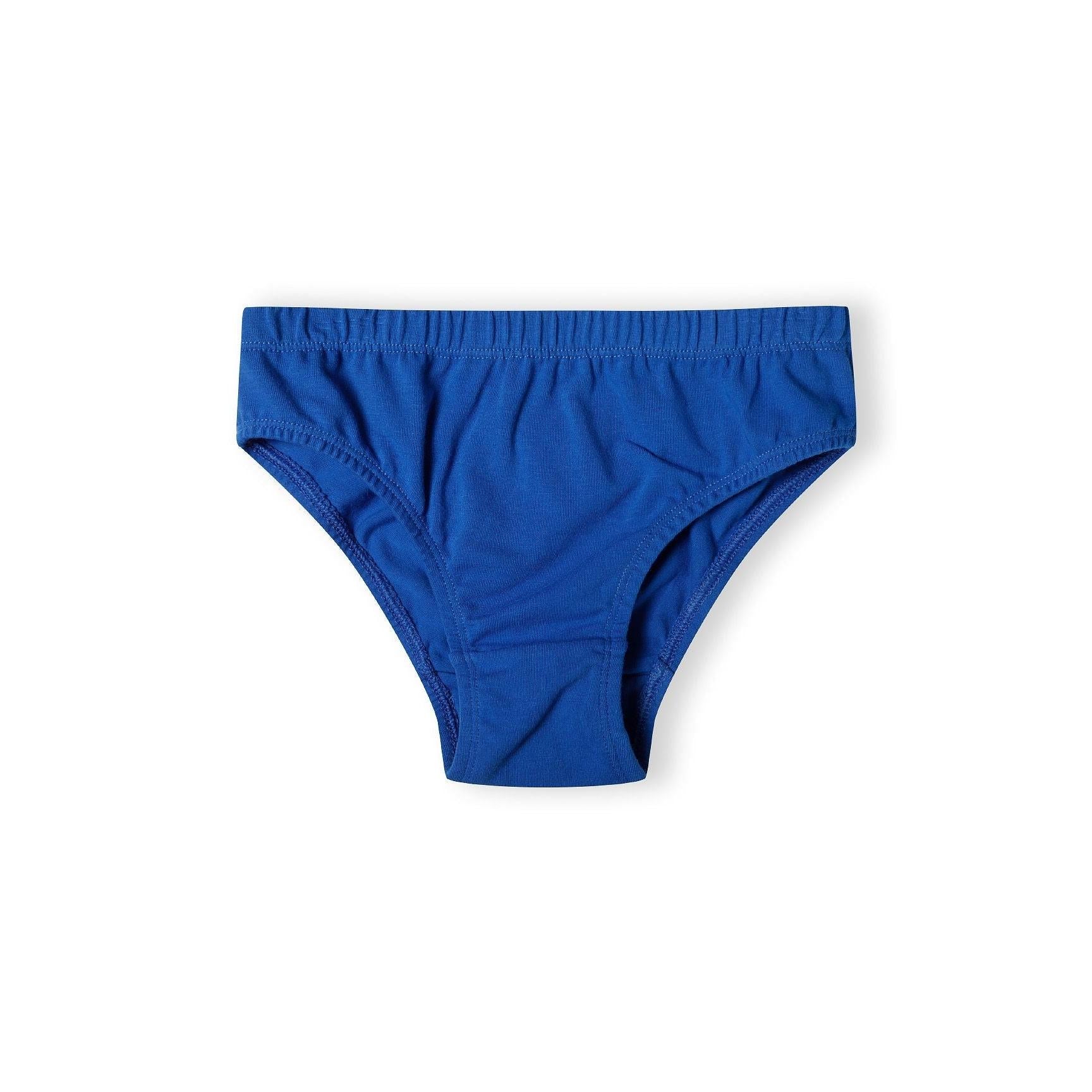 Royal blue solid colour brief displayed flat on white background showing the classic design with elastic waistband and comfortable cotton construction
