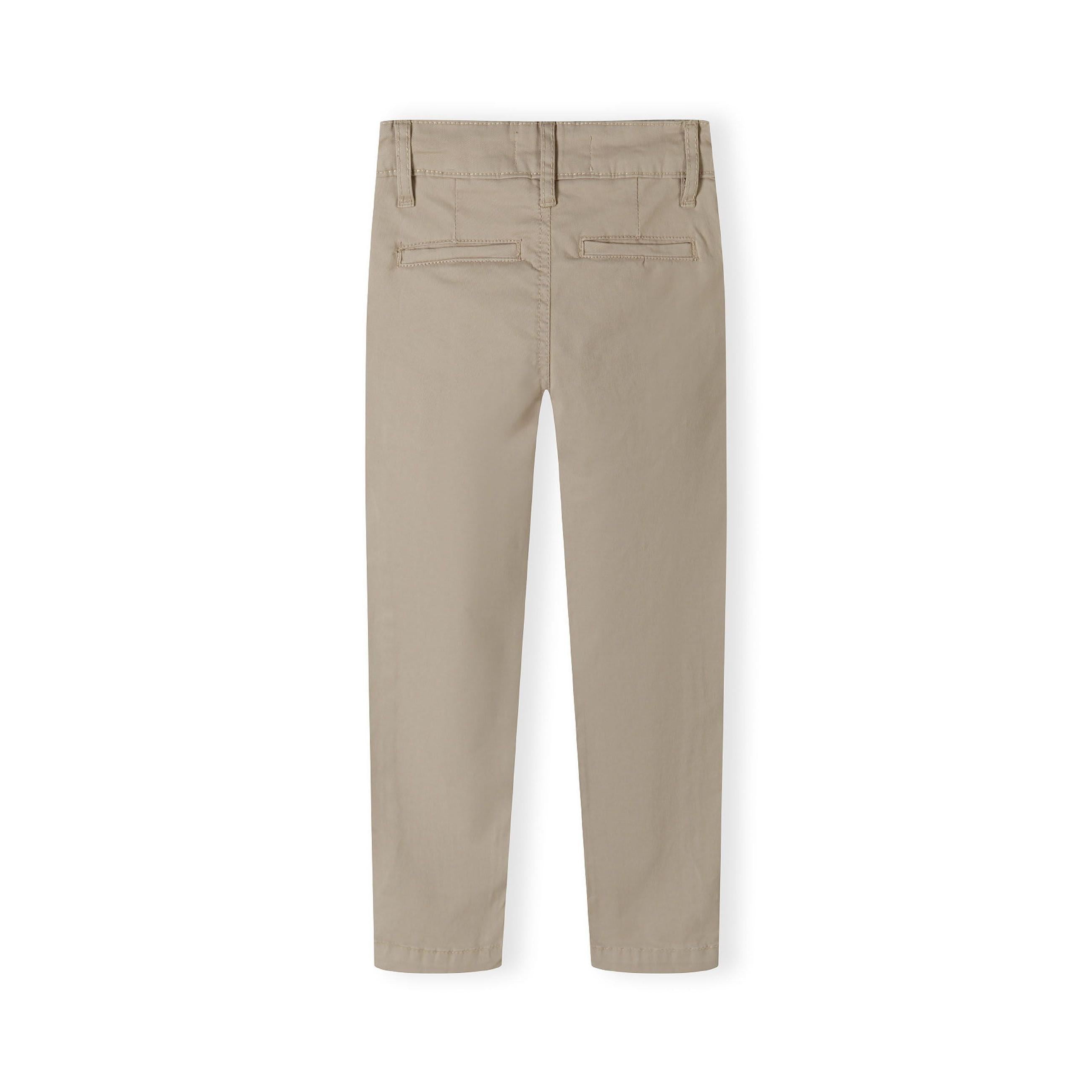 Back view of grey chino trousers showing slim fit silhouette, back pockets and waistband details on white background