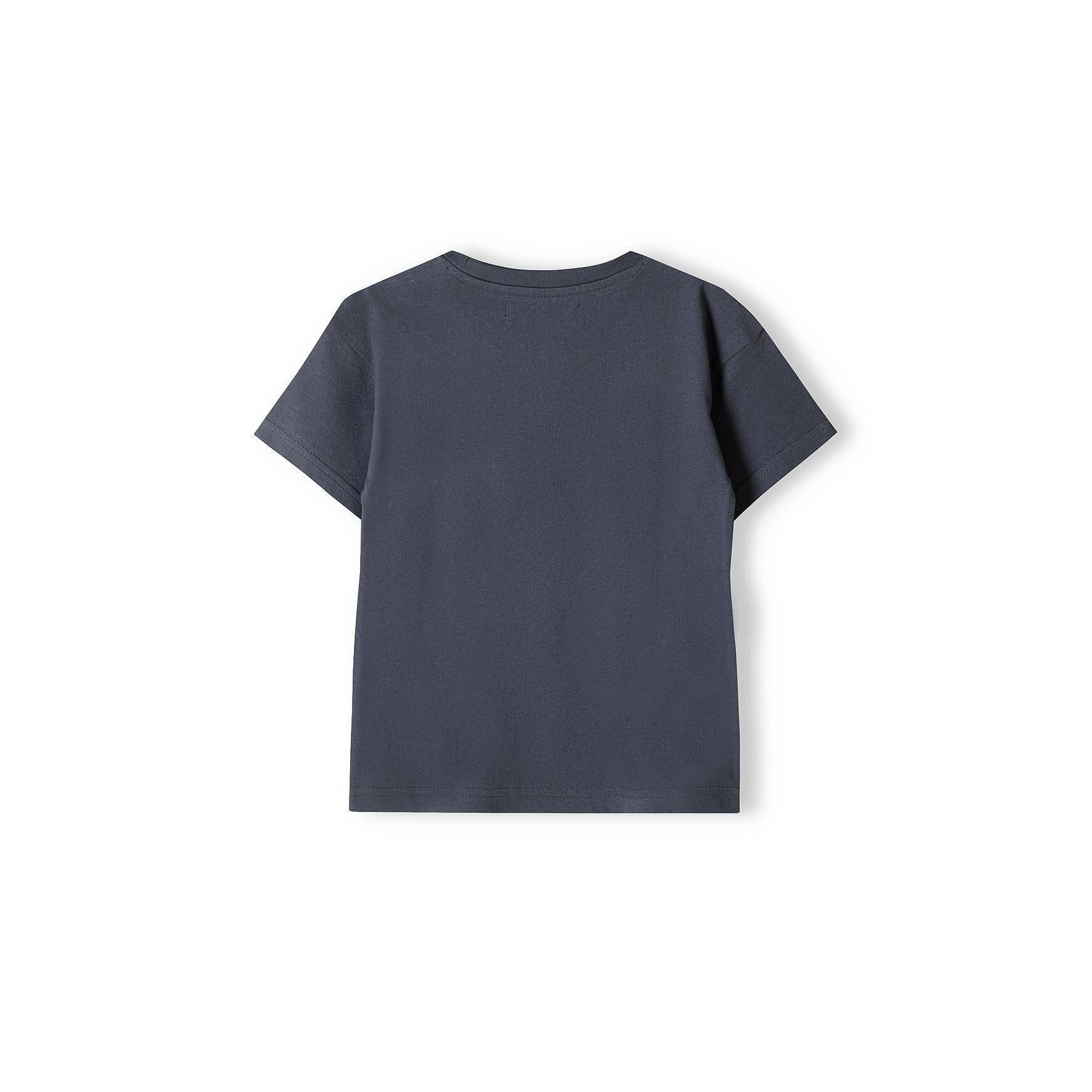 Back view of grey t-shirt showing plain design on white background