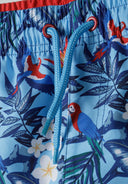 Boys swim board shorts all-over print dark green 3-14y with vibrant parrot design and quick-drying fabric. Enhances comfort and ventilation.